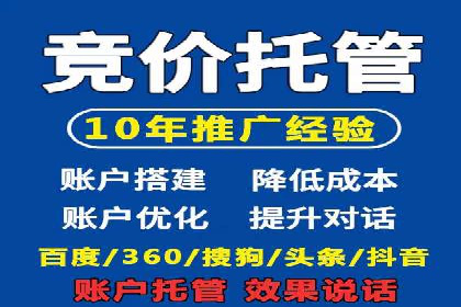 百度竞价广告的投放策略与成功案例分析